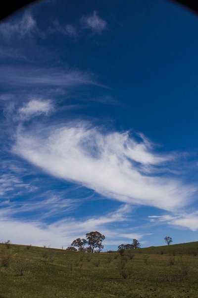 df sky 1.jpg